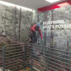 Interior Wall Wraps and Graphic