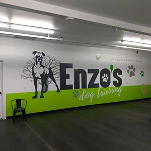 Wall Graphics Installers